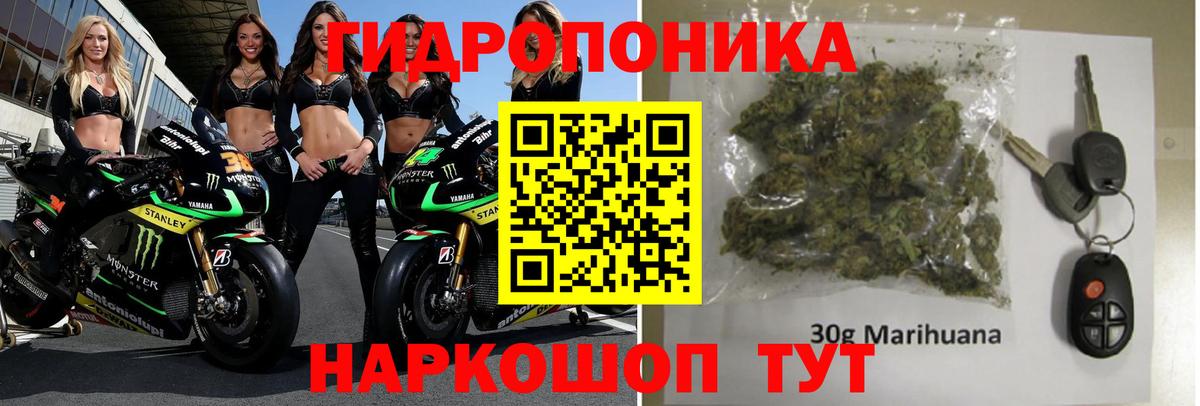 Шишки марихуана AK-47 Осинники